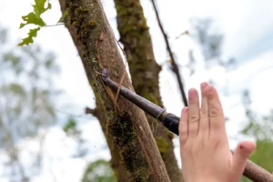 Haubergwerkzeug (© Jan Bosch)