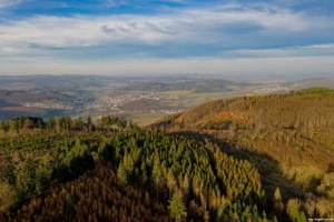 Lebensraum Hauberg am Eschenburgpfad (Foto: © Siegbert Werner)