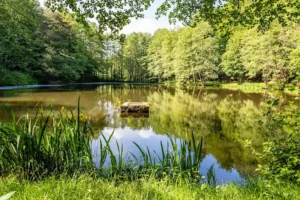 Auf der GeoRoute "Hörreliches Stippbachtal" bei Sinn