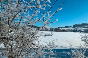 Winterlandschaft bei Niederhörlen (CC Marburg Stadt und Land Tourismus GmbH)