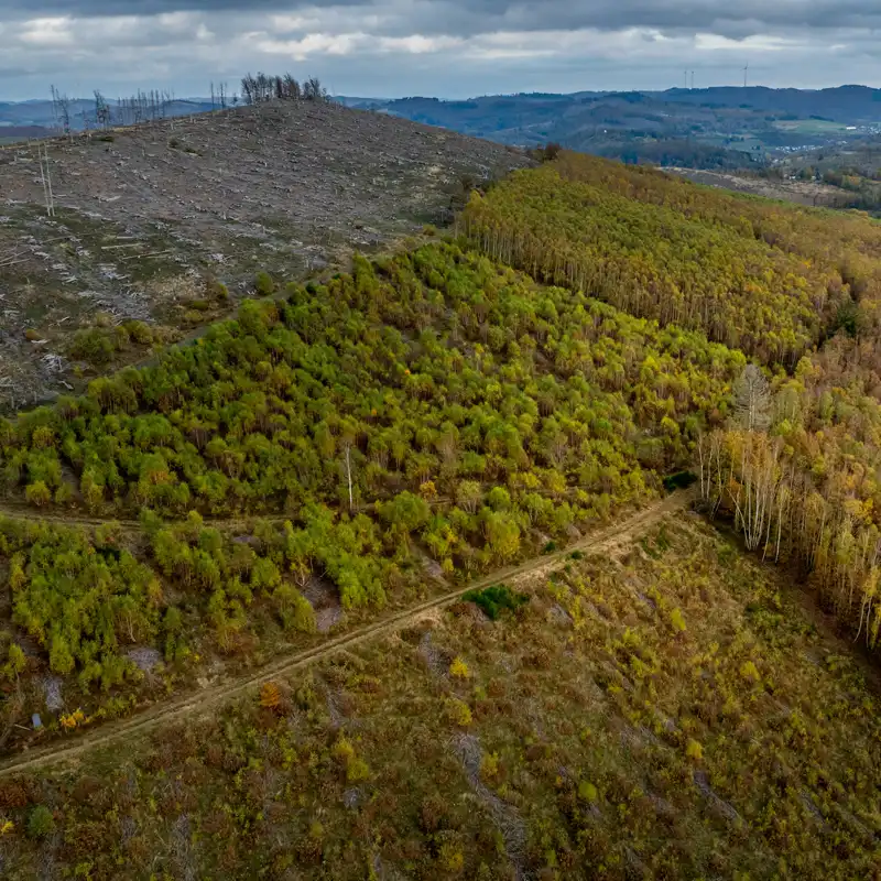 Hauberge im Naturpark Lahn-Dill-Bergland