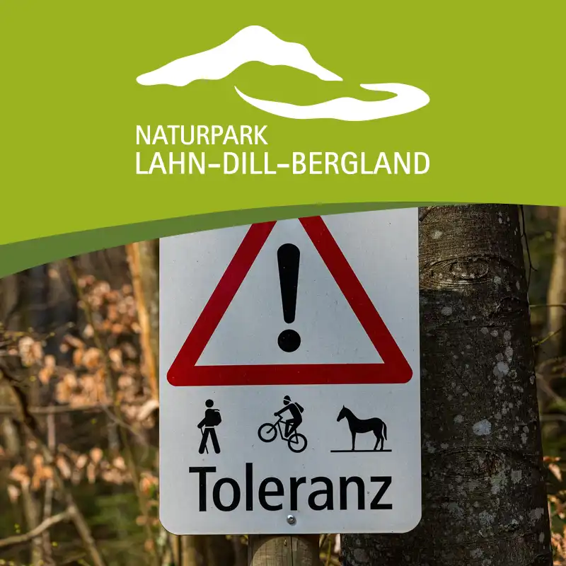 Verhalten im Wald im Naturpark Lahn-Dill-Bergland (Bild von Marcel auf Pixabay